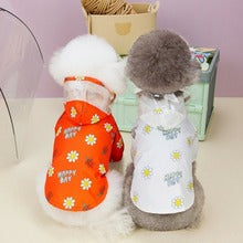 Cape-Style Raincoat