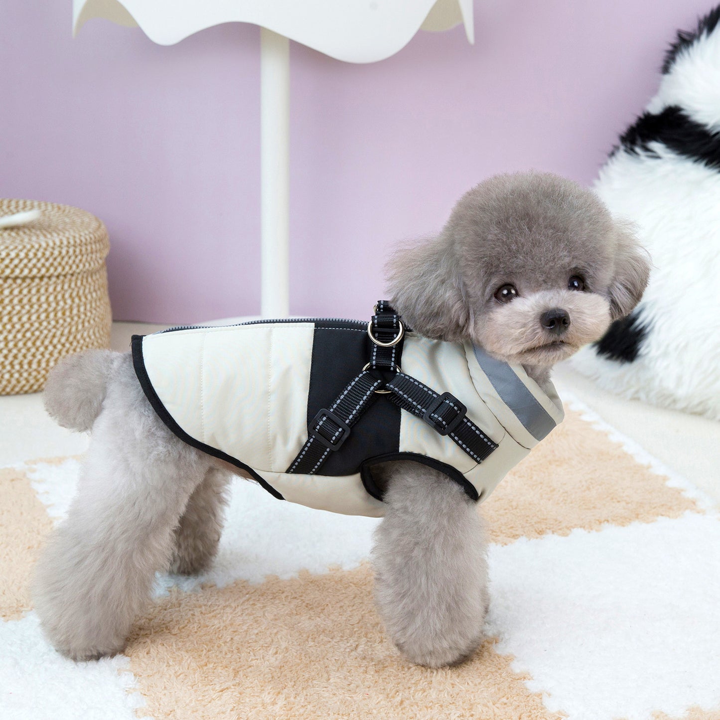 Waterproof Dog Winter Coat with Reflective Design