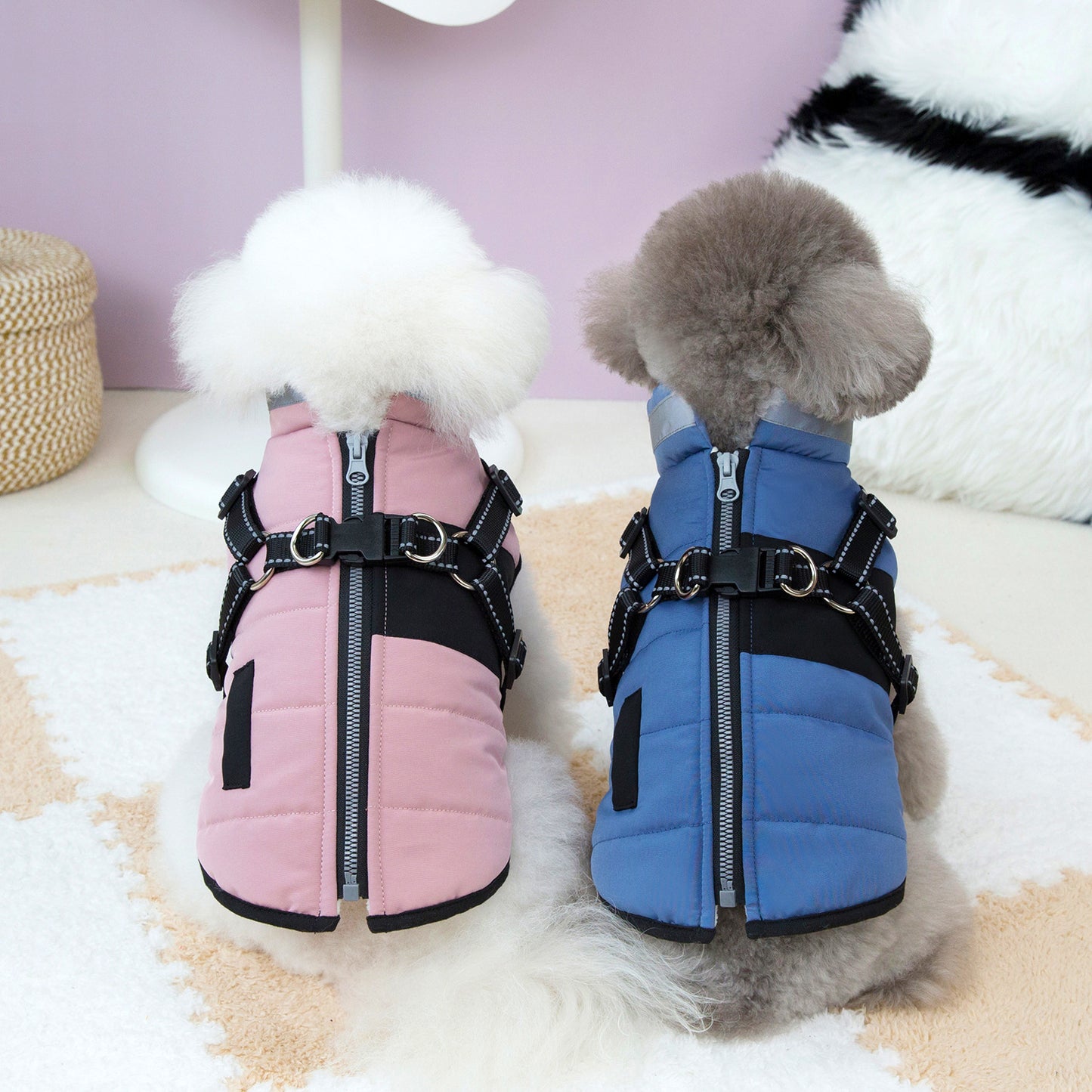 Waterproof Dog Winter Coat with Reflective Design