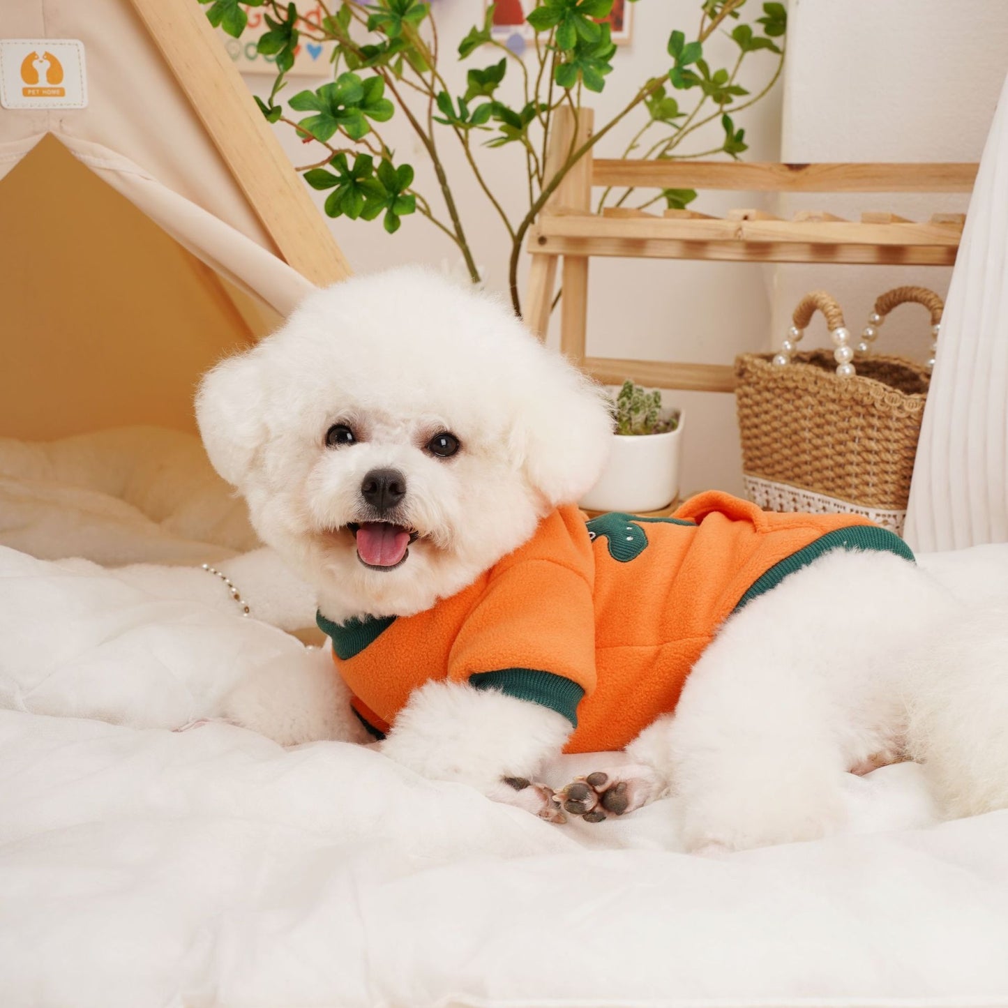 Fleece Hoodie Pet Shirt
