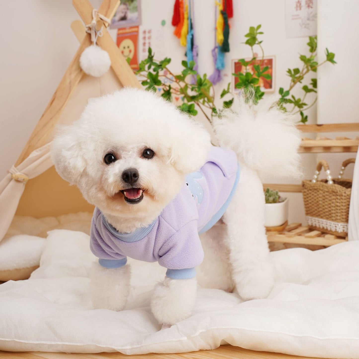 Fleece Hoodie Pet Shirt