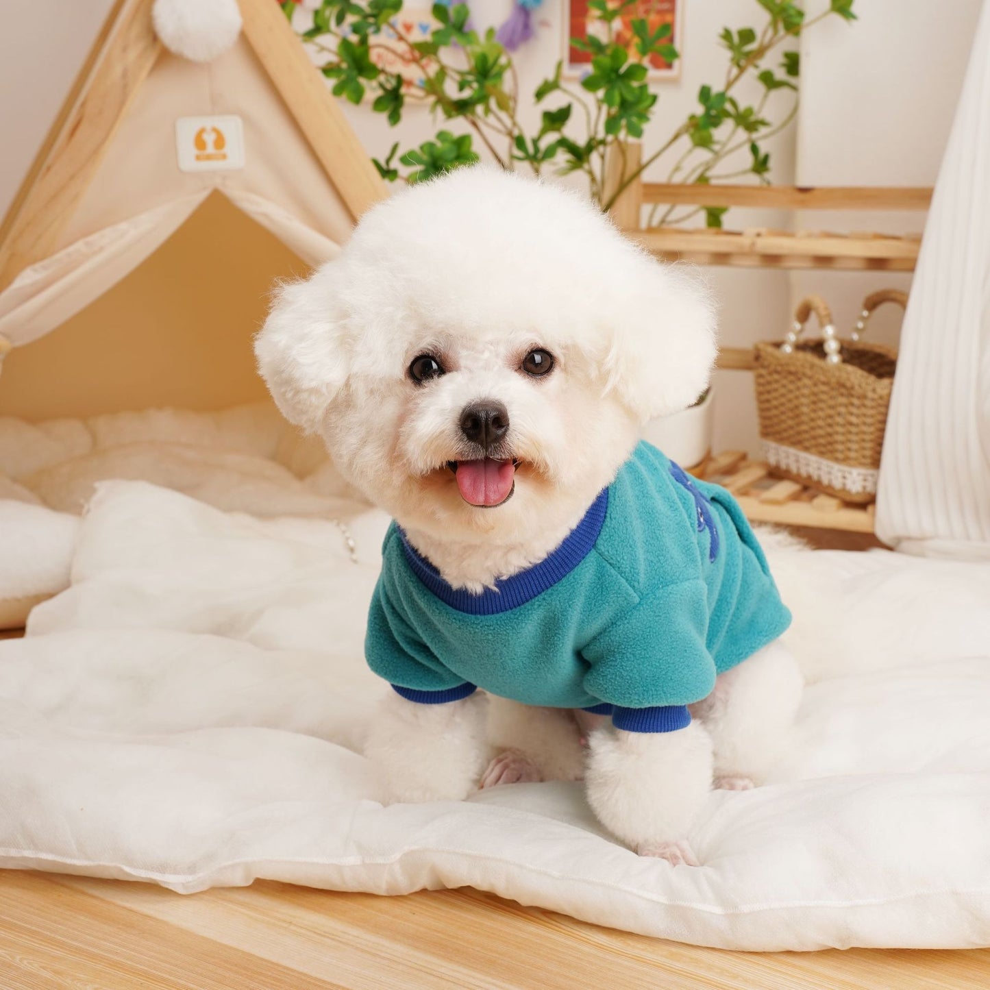Fleece Hoodie Pet Shirt