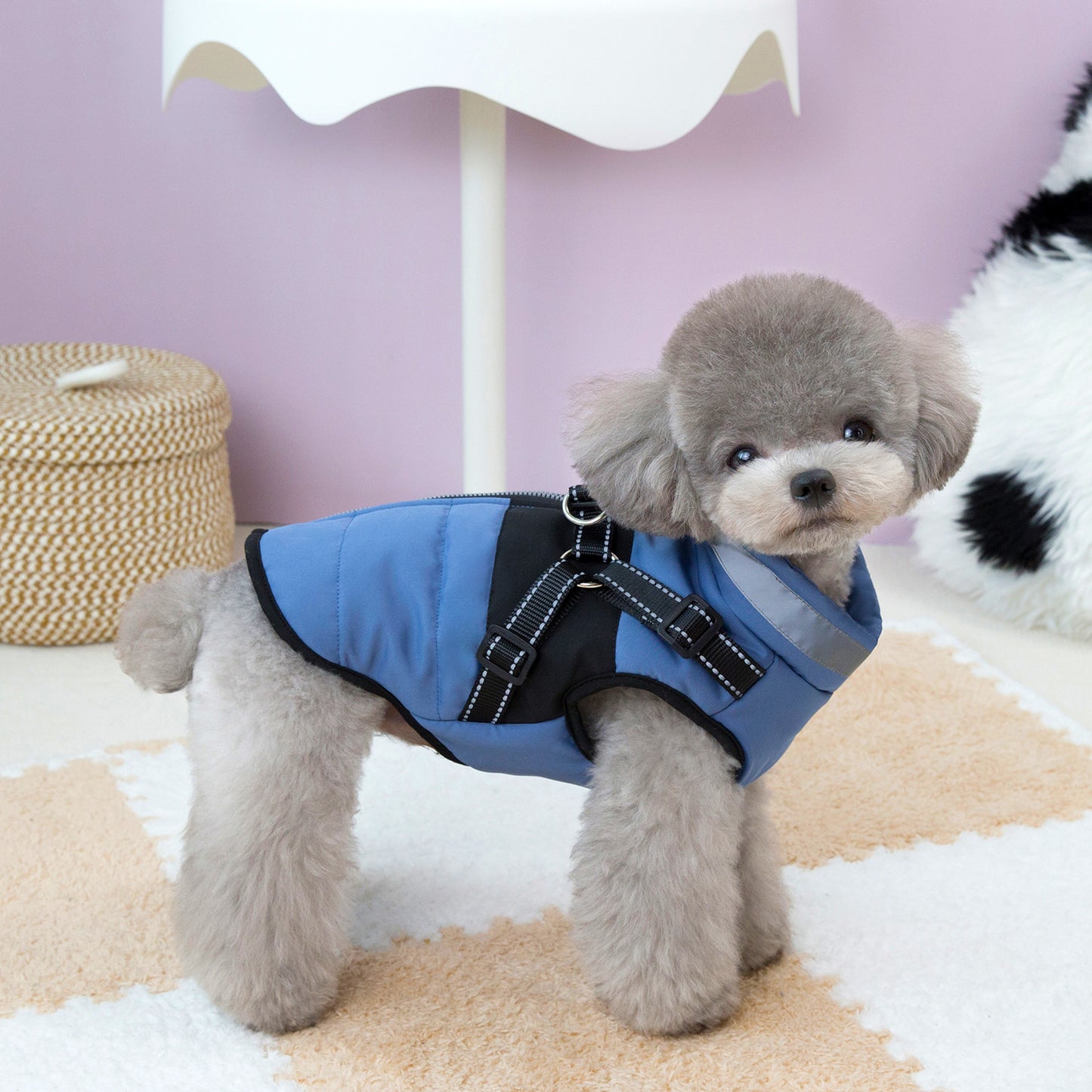 Waterproof Dog Winter Coat with Reflective Design