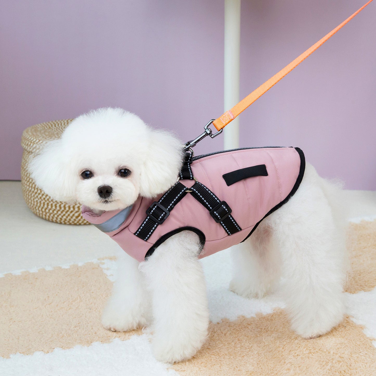 Waterproof Dog Winter Coat with Reflective Design