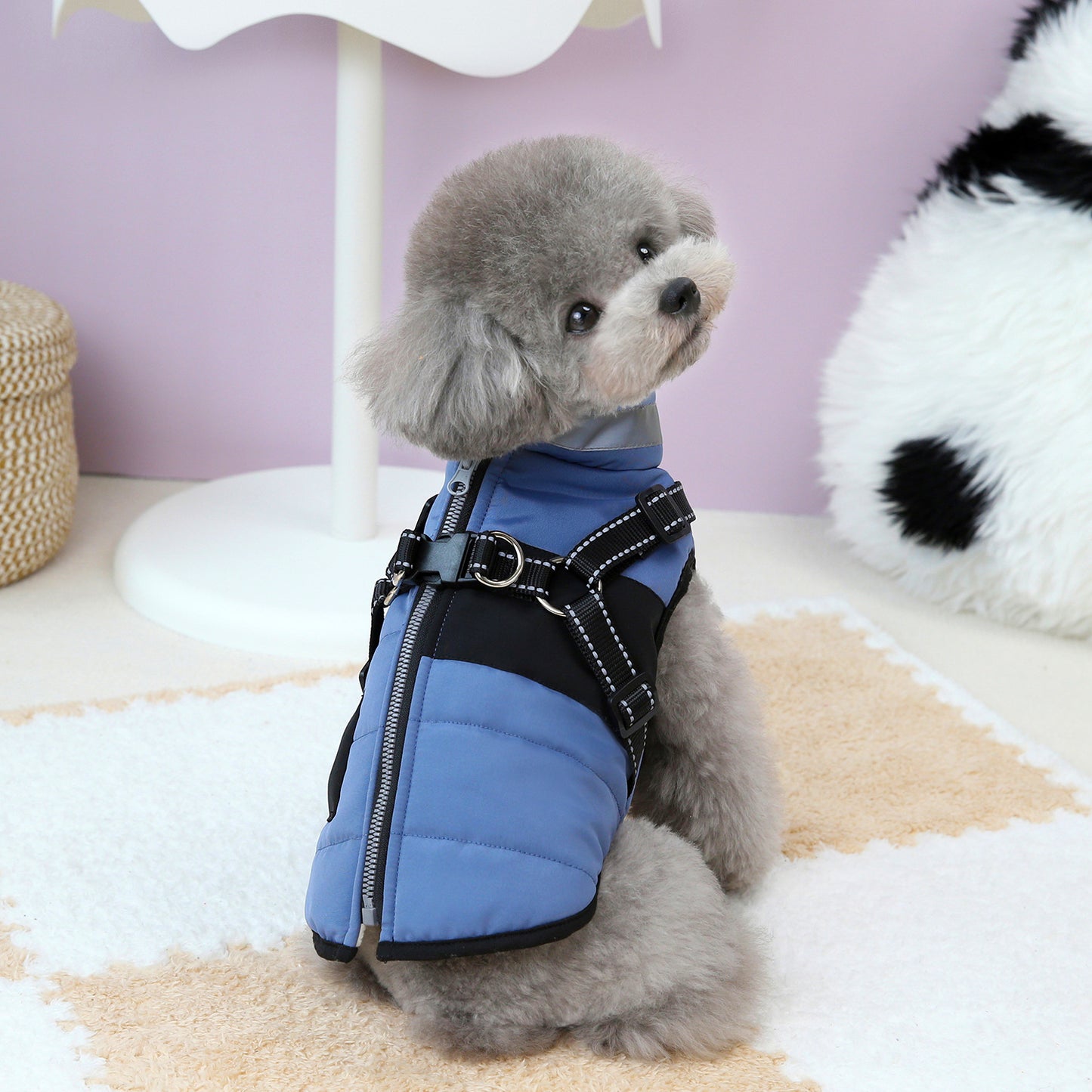 Waterproof Dog Winter Coat with Reflective Design