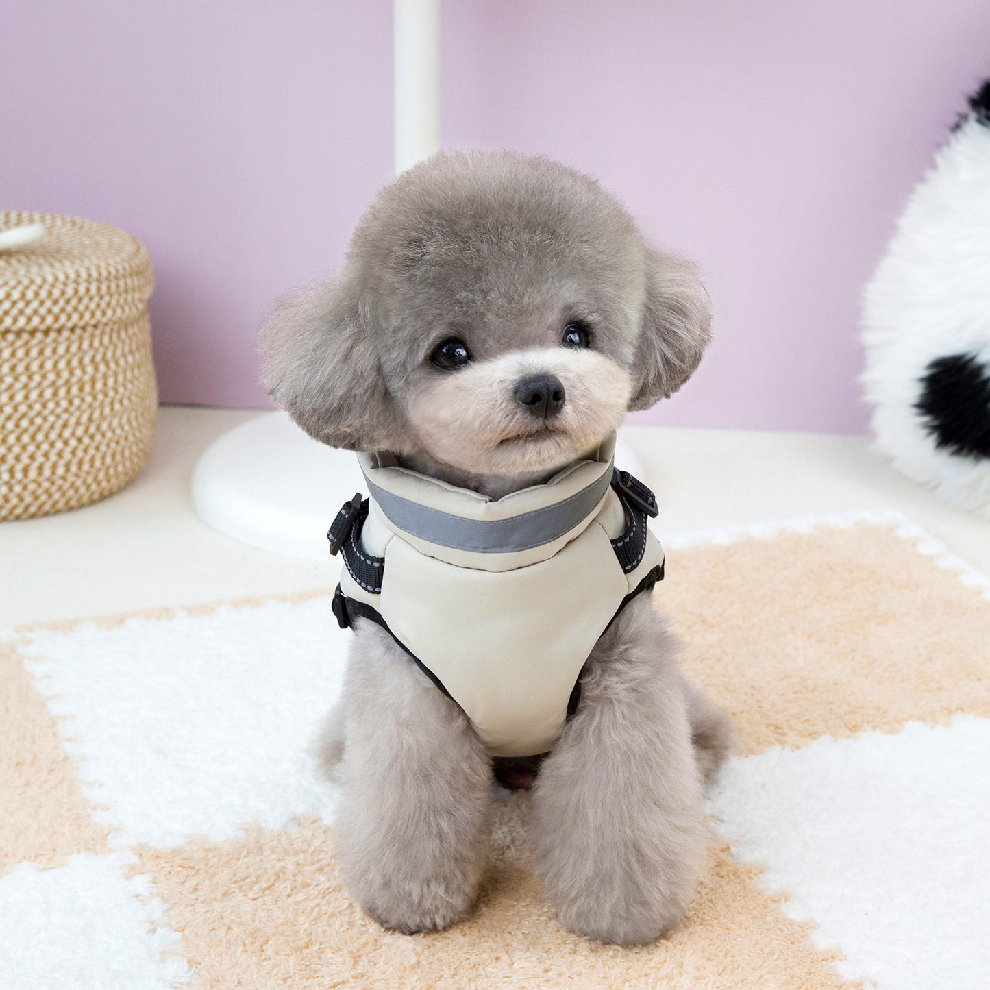 Waterproof Dog Winter Coat with Reflective Design