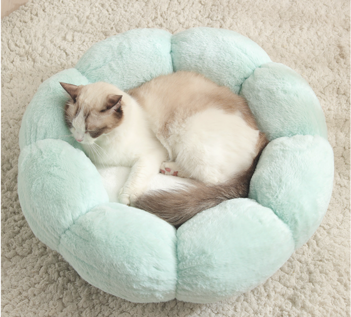 Blossom Plush Pet Bed