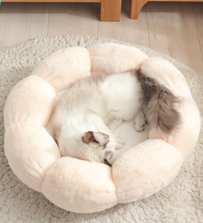 Blossom Plush Pet Bed