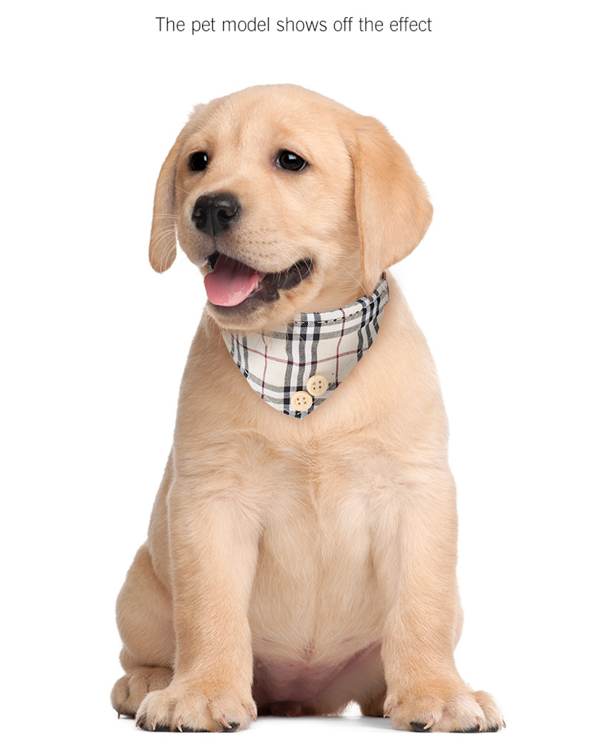 Plaid fabric for Pet (Set of 3 with Collar, Bandana, and Leash)